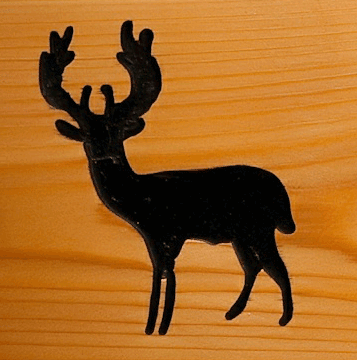 elk